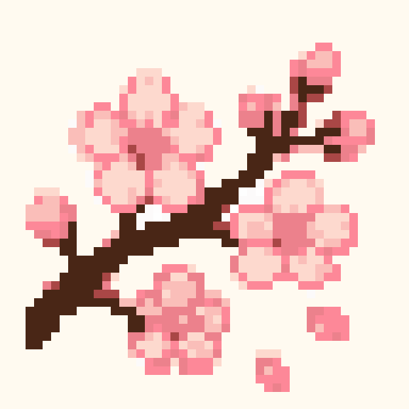 Cherry Blossom