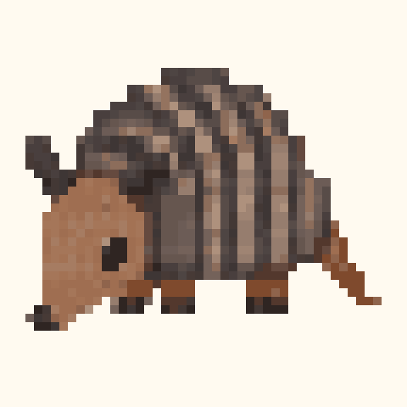 Armadillo pixel pattern