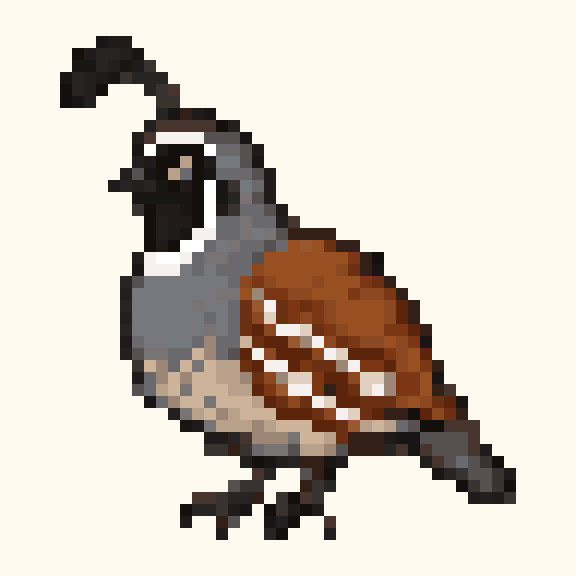 Quail pixel pattern